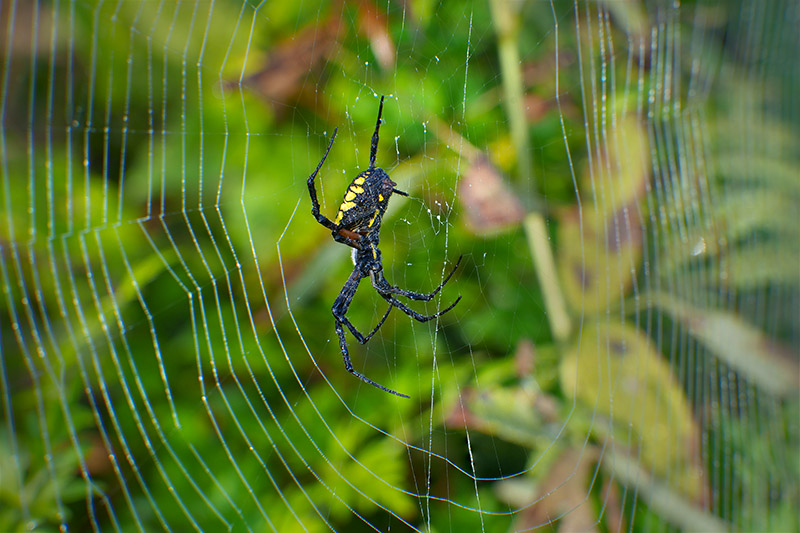 Timeprints Nature Photography