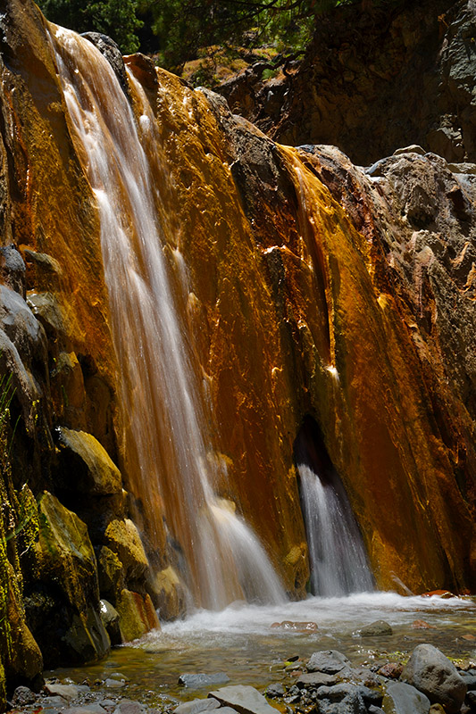 Timeprints Nature Photography