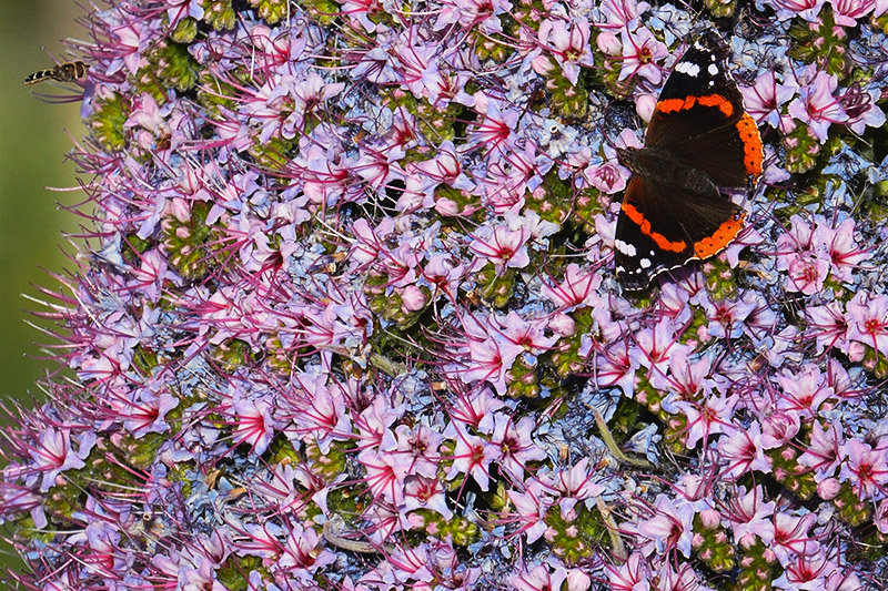 Timeprints Nature Photography