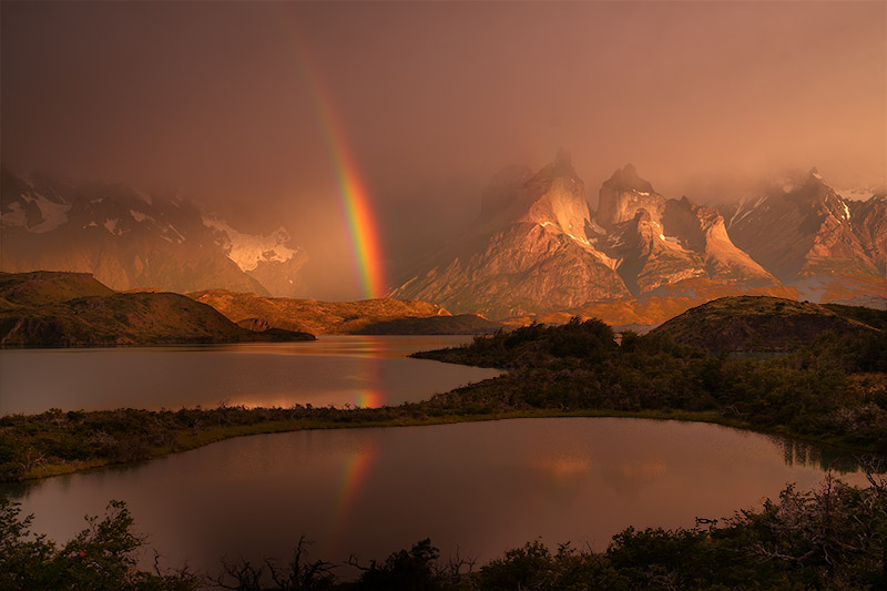 Timeprints Nature Photography